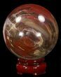 Colorful Petrified Wood Sphere #41948-1